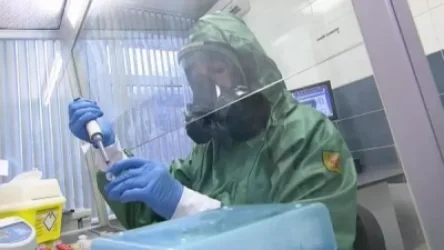 «Ժամանակ». Կորոնավիրուսը Վրաստանի տնտեսությանը մի քանի հարյուր միլիոն դոլարի վնաս կարող է հասցնել