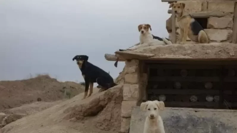 Ինչեր են տեսել, վախեցել ու ինչքան են օգնել