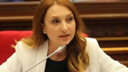 Ձեռնարկում ենք ու ձեռնարկելու ենք բոլոր անհրաժեշտ միջոցները. Լիլիթ Մակունց