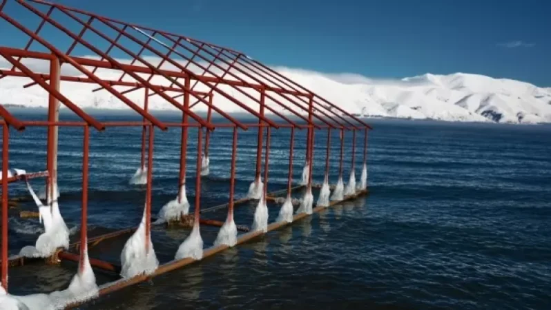 Ո՞վքեր են «Սևան ազգային պարկ»-ին  270 միլիոն դրամ պարտք կուտակած վարձակալներն ու կառուցապատողները