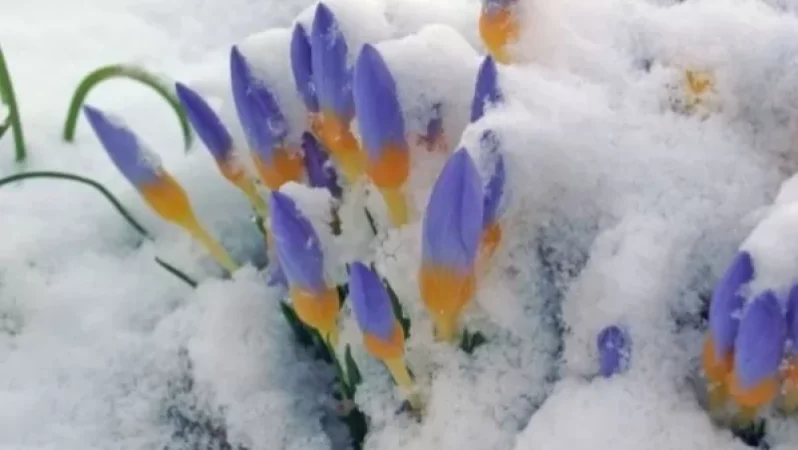 Ինչ եղանակ է սպասվում ձմռան վերջին օրերին