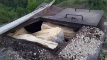 Փայտածուխի արտադրամասում ապօրինություններ են հայտնաբերվել