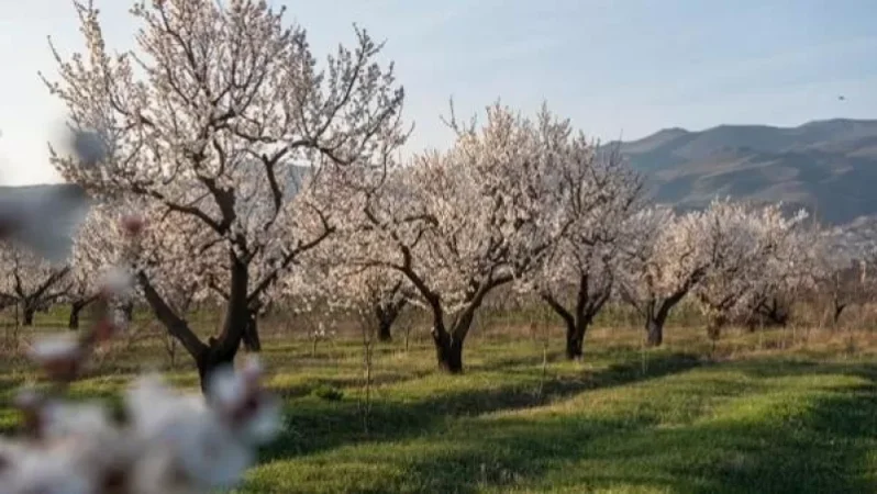 Եղանակը Հայաստանում. առաջիկա 4 օրվա եղանակի կանխատեսում