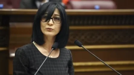 Որևէ մեկին չի հուզում, որ հանրահավաքի ժամանակ մահապատիժ է բեմադրվում, բացահայտ բռնություն է քարոզվում. Արփինե Դավոյան