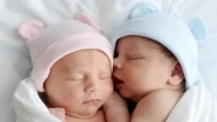 Վերջապես նորածինների մեջ աղջիկները թվով գերազանցեցին տղաներին․ Գնել Սանոսյան