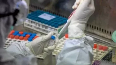 Կորոնավիրուսով վարակված  4 քաղաքացի առողջացել է. Նիկոլ Փաշինյան