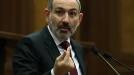 Գիտե՞ք, որ առաջատար երկրներում փողոցում՝ ծառերի տակ են սիստեմա միացնում․ վարչապետ