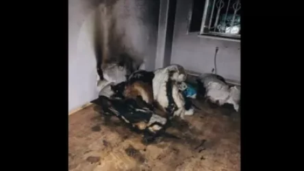 Հրդեհ երևանյան բնակարաններից մեկում. դեպքի վայր է մեկնել երկու մարտական հաշվարկ