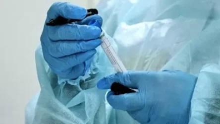 Վրաստանում Covid-19-ով վարակվել է 85 մարդ. РИА Новости