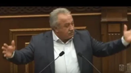 ՏԵՍԱՆՅՈՒԹ. Ուշքս չի գնում Արսեն Թորոսյանի համար. Սասուն Միքայելյանը՝ Աժ-ում