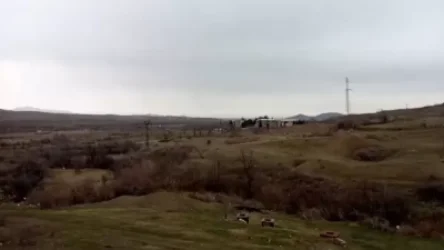 Լրագրող Թաթուլ Հակոբյանը տեսանյութ է հրապարակել Բարխուդարլուից