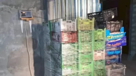 ԱԱԾ-ն բացահայտել է  Սևանա լճից շուրջ 127 տոննա ձկների ապօրինի արդյունահանման՝ տարիներ շարունակ մշակված և գործող հանցավոր սխեմա