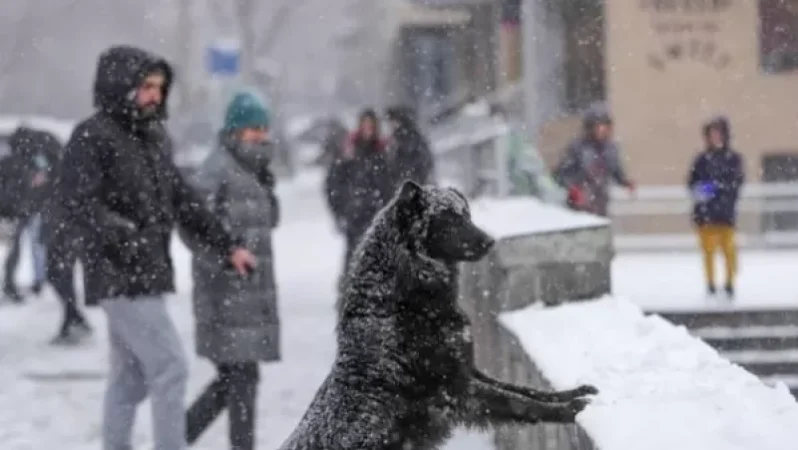 Մի շարք մարզերում սպասվում են տեղումներ. եղանակի տեսություն