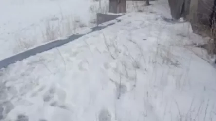 ՏԵՍԱՆՅՈՒԹ. Գավառում պատանի է դանակահարվել