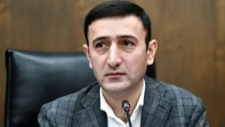 ԱԺ պատգամավորները պարգևավճար չեն ստացել, արդեն իմունիտետ է ձևավորվել էս թեմայով. Թունյան