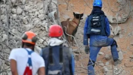 Բեյրութի պայթյունից 3 օր անց փրկարարները մարդկանց են դուրս հանում փլատակների տակից