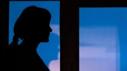 29-ամյա կինը սպանություն, տարատեսակ գողություններ է կատարել