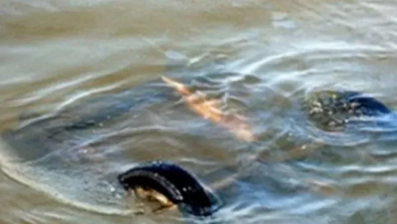 Ավտոմեքենան ընկել է ջրանցքը. կա երկու զոհ