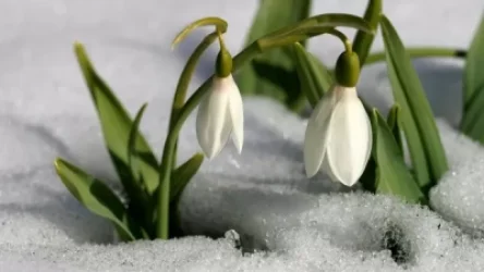 Կարծես թե գարունը գալիս է՝ 8-10 աստիճանով կտաքանա. եղանակի տեսություն