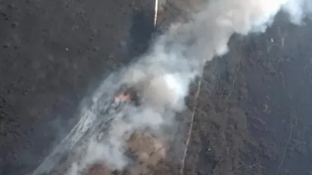 Չեռնոբիլի ատոմակայանի գոտու հարևանությամբ բռնկված հրդեհը մարվել է