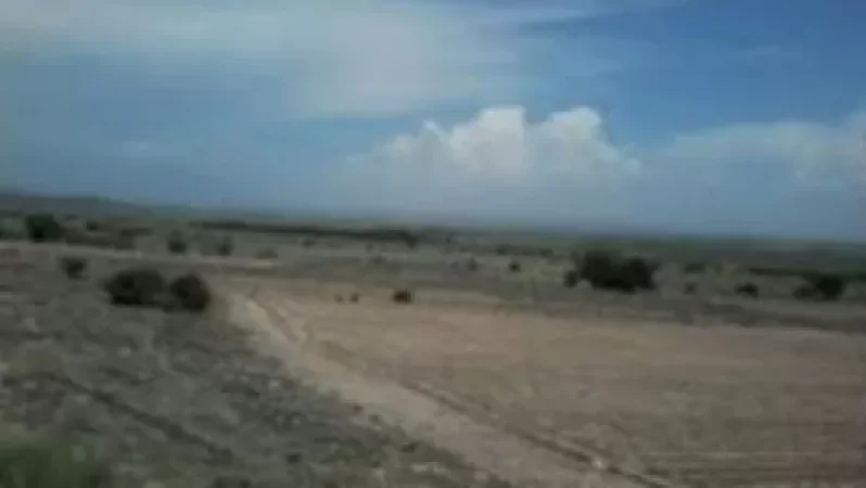 ՊՎԾ-ն նոր խախտումներ է հայտնաբերել