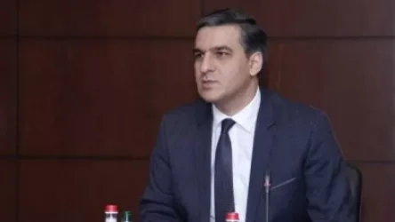 Թաթոյանը դիմել է ՍԴ՝ հաշմանդամություն ունեցող օդաչուների իրավունքների վերականգնման հարցով