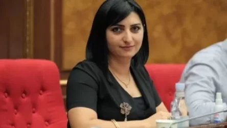 Դատախազությունը հաստատեց Թովմասյանին.ինչ է սահմանում Ինտերպոլի կանոնադրությունը. Ժողովուրդ