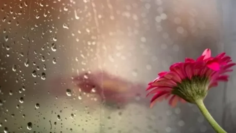 Զգալի կտաքանա, բայց կանձրևի. եղանակի տեսություն