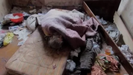 86-ամյա ծերունին ցրտահարվել է տնակում.  «Հետք»