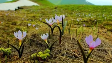 Ինչ եղանակ է սպասվում Հայաստանում առաջիկա օրերին