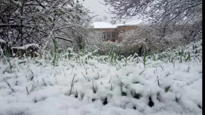 Երևանում, Աբովյանում և Սևանում ձյուն է տեղացել