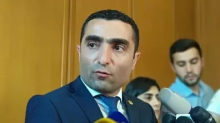 Արտահերթ ընտրությունների օրվա հետ կապված որոշումը կհրապարակվի այսօր կամ վաղը. Ռոմանոս Պետրոսյան