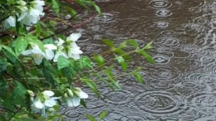 Հանրապետության տարածքում վաղը տեղումները կշարունակվեն, բայց օդի ջերմաստիճանը կբարձրանա