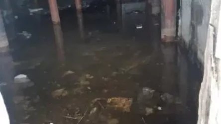 ԼՈՒՍԱՆԿԱՐՆԵՐ. Կացարանները հարուստ են՝առնետներով և բազմատեսակ միջատներով». 2020 թվական, Աշոտաբերդ թաղամաս