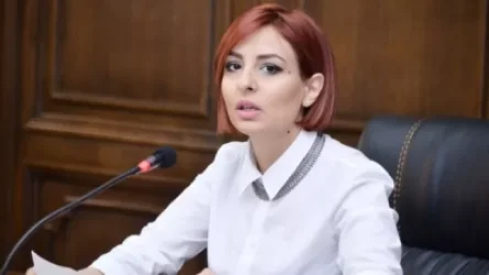 Վերջին ժամանակներում հաճախակի են դարձել լրագրողների նկատմամբ հարձակումները պաշտոնյաների կողմից. Անի Սամսոնյան