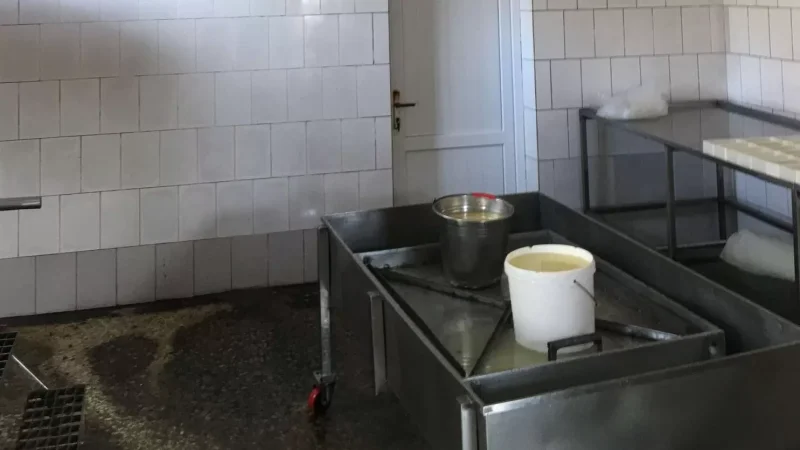 PHOTOS: Dairy Production Facility Suspended
