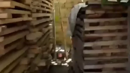 ՏԵՍԱՆՅՈՒԹ. Մասիսի ոստիկանները Արգավանդի արտադրամասերում ապօրինի փայտանյութ են հայտնաբերել