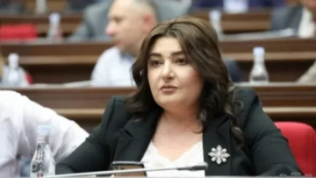 Ոչ ոք իրավունք չունի վիրավորել կամ ֆիզիկական ուժ կիրառել լրագրողների նկատմամբ. Տոնոյան