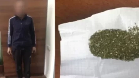 ՏԵՍԱՆՅՈՒԹ. Մասիսի ոստիկանները ապօրինի թմրաշրջանառության դեպք են բացահայտել