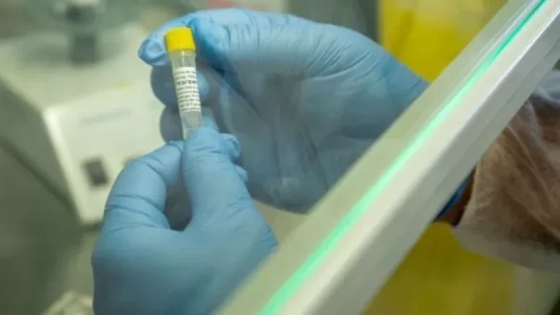 Լաբորատորիայում պահվող 26 նմուշի կորոնավիրուսային հետազոտության արդյունքները բացասական են