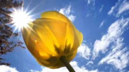 Առաջիկա օրերի եղանակը Հայաստանում