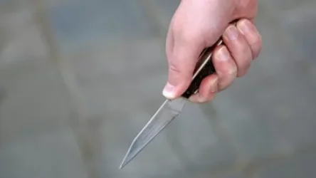 ՏԵՍԱՆՅՈՒԹ. Սարյան փողոցում երկու տղամարդու են դանակահարել