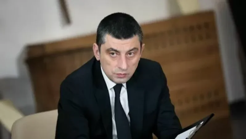 Երկրում չպետք է չմշակված հող մնա. Վրաստանի վարչապետ