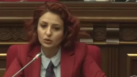 ՏԵՍԱՆՅՈՒԹ. Ծանրագույն բեռ է այլոց ստերի համար պատասխան տալ. Սամսոնյանը՝ Ավինյանին