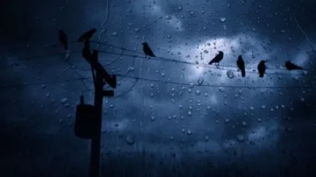 Երևանի որոշ հատվածներում ձնախառն անձրև կգա, Հայաստանում զգալի կցրտի. եղանակի տեսություն