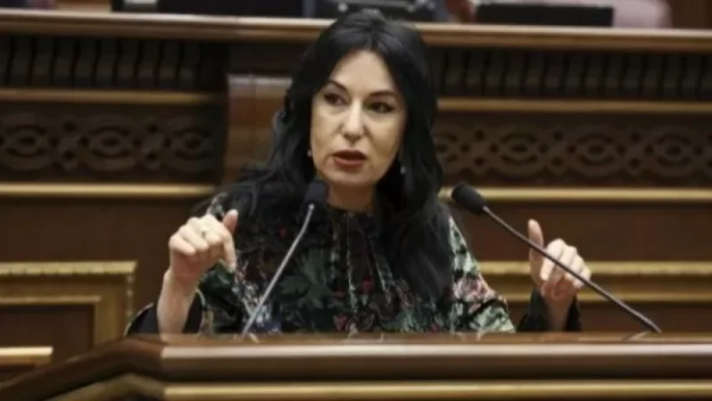 Քրեական պատասխանատվություն է նախատեսում նման հրեշների համար. Զոհրաբյանը՝ շանը  տանջանքների ենթարկելու դեպքի մասին