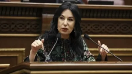 Քրեական պատասխանատվություն է նախատեսում նման հրեշների համար. Զոհրաբյանը՝ շանը  տանջանքների ենթարկելու դեպքի մասին