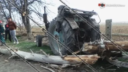 Արարատի մարզում հսկայական բարդին ընկել է տրակտորի վրա. կա վիրավոր