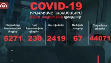 Հայաստանում հաստատվել է կորոնավիրուսով վարակվելու 231, մահվան՝ 3 նոր դեպք