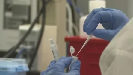 Վրաստանում կորոնավիրուս է հայտնաբերվել Հայաստանից ժամանած բեռնատարի վարորդի մոտ